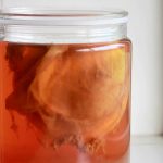 Kombucha en régime cétogène: Ce qu'il faut savoir. Kombucha en régime cétogène: Ce qu'il faut savoir.